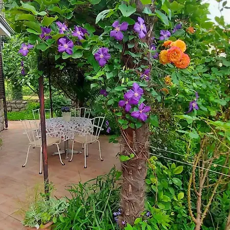 Apartamento Oasis