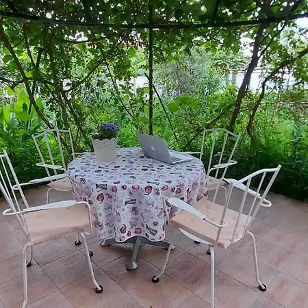 Oasis Apartment