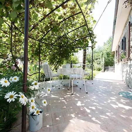 Apartamento Oasis *