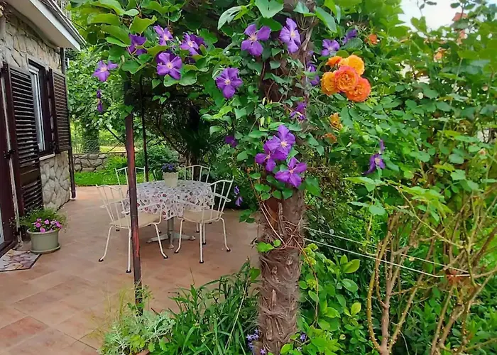 Apartment Oasis
