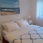 Oasis *