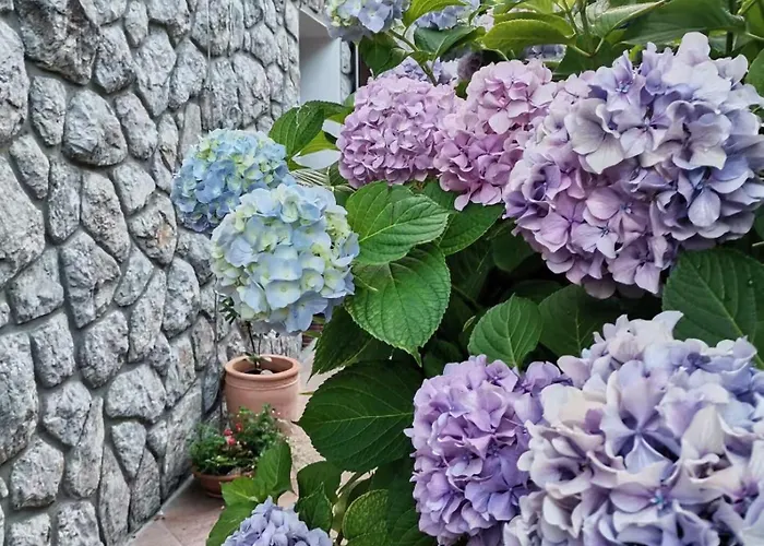 Oasis Lägenhet Ičići